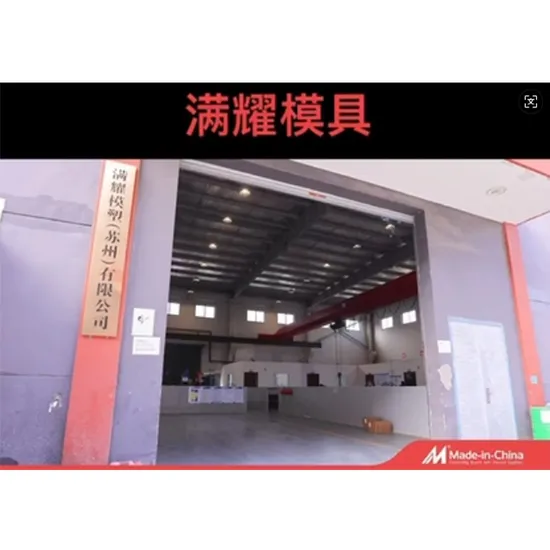 OEM Professional Customized Plastic Injection Mould /Mold for ABS PP PA PE PS PC POM Material 